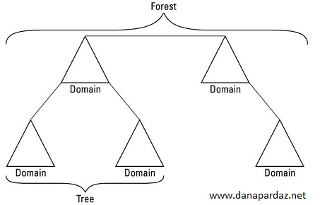 ساختار اکتیودایرکتوری
