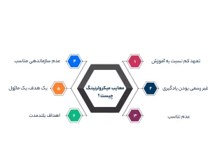 معایب میکرولرنینگ چیست ؟