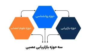 سه حوزه بازاریابی عصبی